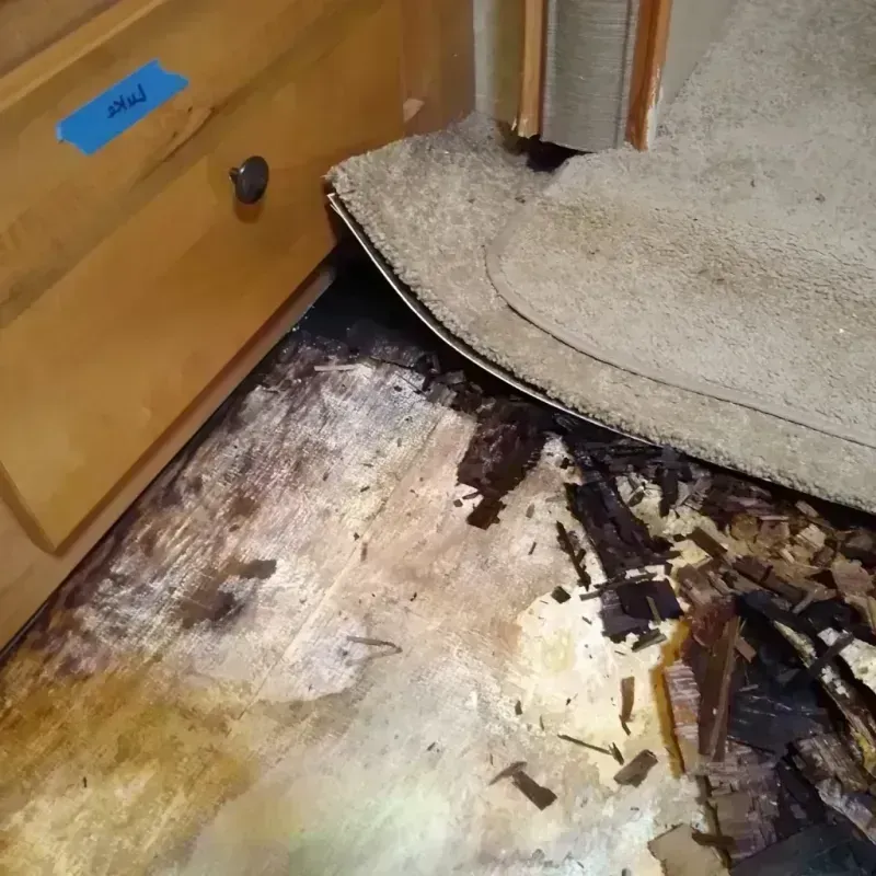 Wood Floor Water Damage in Whatcom County, WA